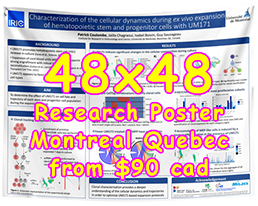Cheapest Fabric/Paper Research Poster Montreal 48x48 Poster from $90 Cheapest Fabric/Paper Research Poster Montreal 48x48 Poster from $90