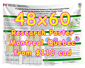 Cheapest Fabric/Paper Research Poster Montreal 48x60 Poster from $110 Cheapest Fabric/Paper Research Poster Montreal 48x60 Poster from $110